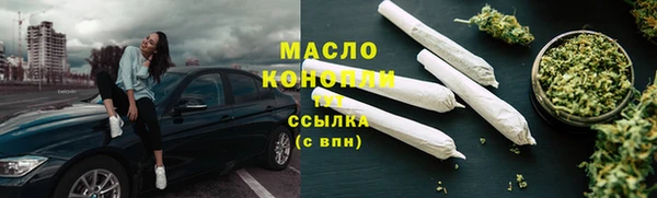 крисы Богородицк