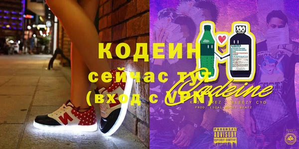 крисы Богородицк