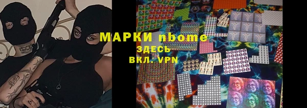 крисы Богородицк