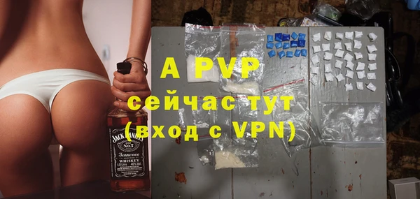 spice Богданович